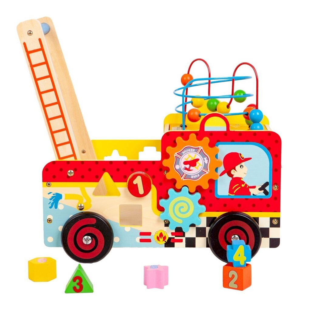Puidust tõukur Ecotoys hind ja info | Imikute mänguasjad | kaup24.ee
