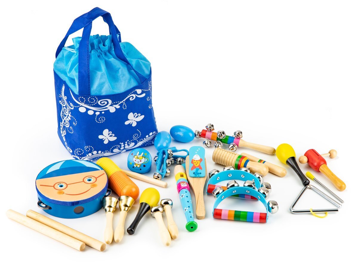 Puidust muusikariistade mänguasjade komplekt, 16 tk, koos kotiga hind ja info | Arendavad mänguasjad | kaup24.ee