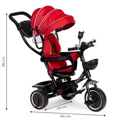 Трехколесный велосипед Ecotoys JM-066-9L, красный цена и информация | Eco Toys Товары для детей и младенцев | kaup24.ee