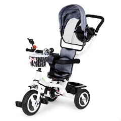 Трехколесный велосипед  Ecotoys JM-066-9L, серый цена и информация | Eco Toys Товары для детей и младенцев | kaup24.ee