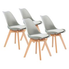 Набор стульев, 4 шт. цена и информация | Стулья для кухни и столовой | kaup24.ee