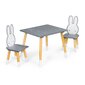 Lastelaud kahe tooliga, Ecotoys, hall hind ja info | Laste lauad ja toolid | kaup24.ee