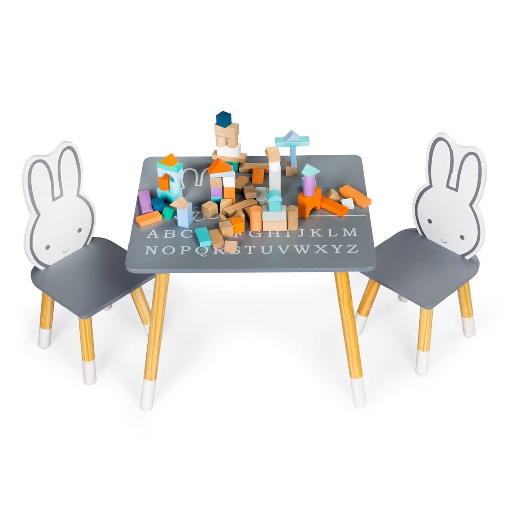 Lastelaud kahe tooliga, Ecotoys, hall hind ja info | Laste lauad ja toolid | kaup24.ee