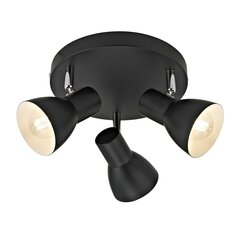 Настенный светильник Riado  SPL-3422-3-BL цена и информация | Потолочные светильники | kaup24.ee