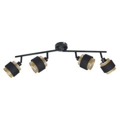 Настенный светильник Renez  SPL-95820-4 цена и информация | Потолочные светильники | kaup24.ee