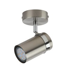 Настенный светильник Palmoni  SPL-2024-1 цена и информация | Потолочные светильники | kaup24.ee