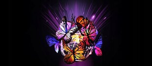 Садовый светодиодный солнечный шар с бабочками Interlook, разноцветный 52 см 2 шт. цена и информация | Уличное освещение | kaup24.ee