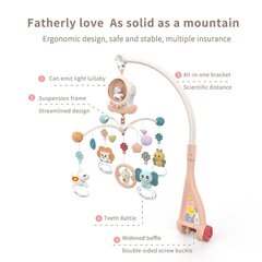 Музыкальная каруселька с пультом управления для малышей цена и информация | Игрушки для малышей | kaup24.ee