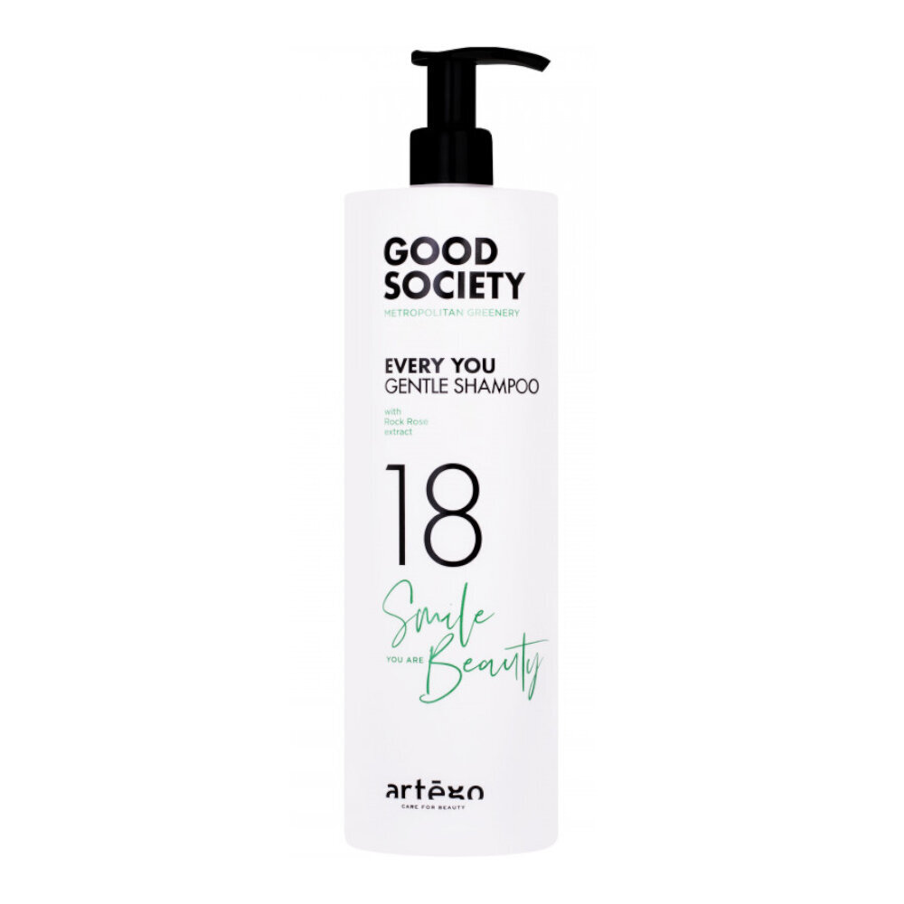 Šampoon igapäevaseks kasutamiseks Artego Good Society Every You 18, 1000 ml hind ja info | Šampoonid | kaup24.ee