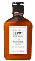 Kõõmavastane šampoo Depoo EI. 102 Anti-Dandruff & Sebum, 250ml цена и информация | Шампуни | kaup24.ee