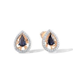Kuldkõrvarõngad teemantide ja safiiridega 0013106400245 hind ja info | Kõrvarõngad | kaup24.ee