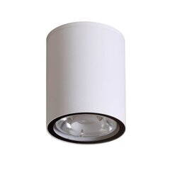 Потолочный светильник Italux Fano цена и информация | Потолочные светильники | kaup24.ee