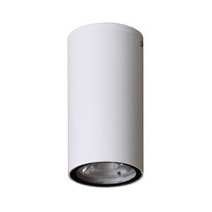 Потолочный светильник Italux Fano цена и информация | Потолочные светильники | kaup24.ee