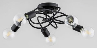 Потолочный светильник Alfa Maxis цена и информация | Потолочные светильники | kaup24.ee