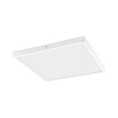 FUEVA 1 surface-mounted light цена и информация | Потолочные светильники | kaup24.ee
