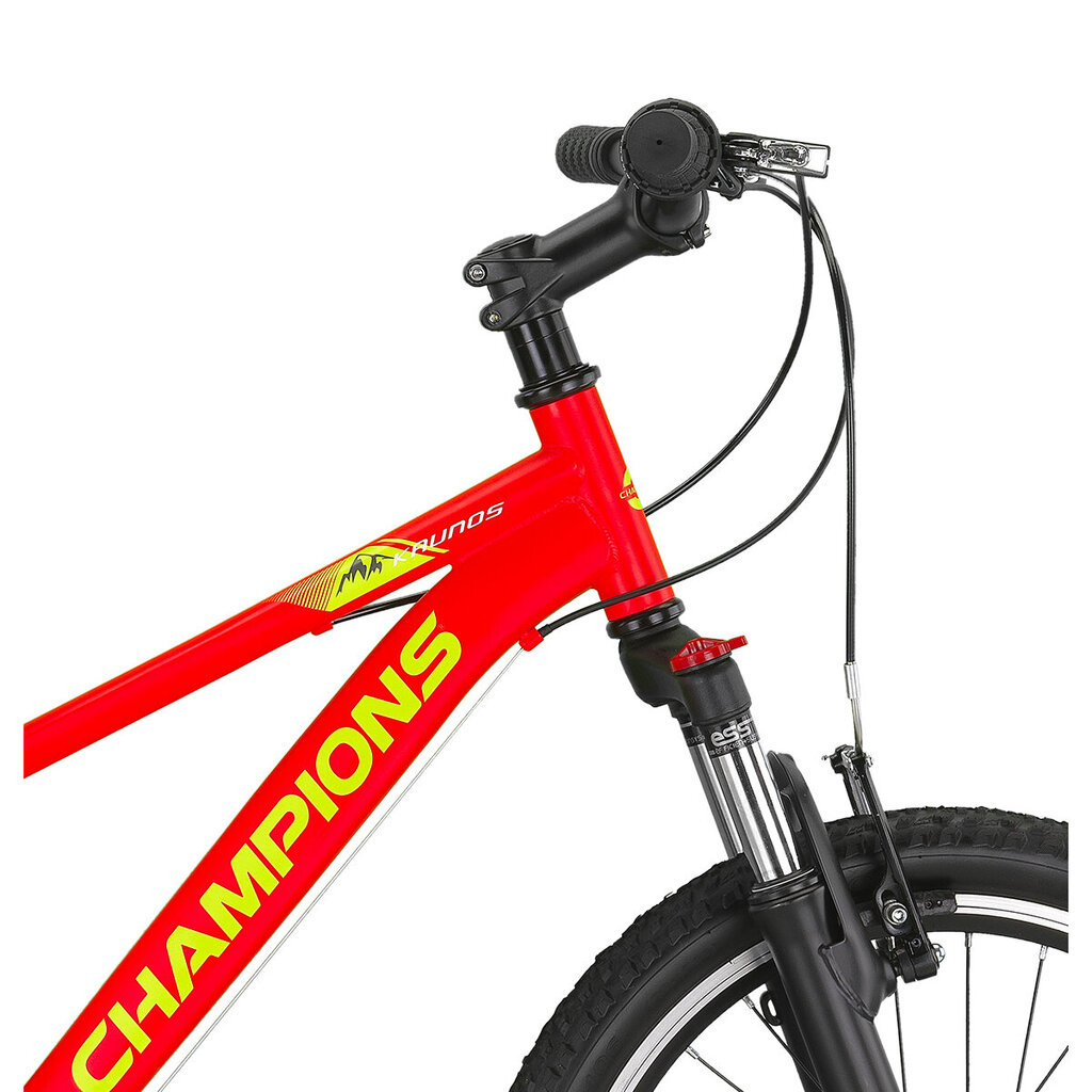 Laste jalgratas Champions 20 Kaunos VB (KAU.2013V) oranž/kollane hind ja info | Jalgrattad | kaup24.ee