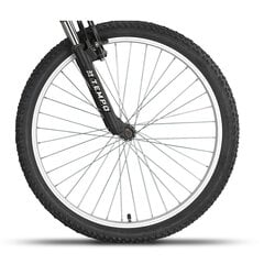 Noorukite jalgratas Champions 24 Tempo (TMP.2407) kollane цена и информация | Велосипеды | kaup24.ee