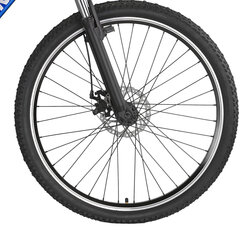 Горный велосипед Champions 29 Kaunos DB (KAU.2952D) синий (19) цена и информация | Велосипеды | kaup24.ee