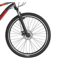 Горный велосипед Champions 29 Kaunos DB (KAU.2951D) серый/оранжевый (19) цена и информация | Велосипеды | kaup24.ee