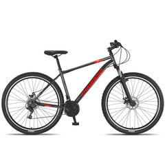Горный велосипед Champions 29 Kaunos DB (KAU.2951D) серый/оранжевый (19) цена и информация | Велосипеды | kaup24.ee