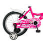 Laste jalgratas GoKidy 16 Hello Girl (HEL.1601) roosa цена и информация | Jalgrattad | kaup24.ee