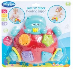 Сортер для воды Playgro цена и информация | Drewniana Wieża Piramida Kura Nakładanie Kolorowych Kwadratów LD-15 15276 | kaup24.ee