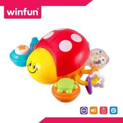 Развивающая Божья коровка Winfun цена и информация | Игрушки для малышей | kaup24.ee