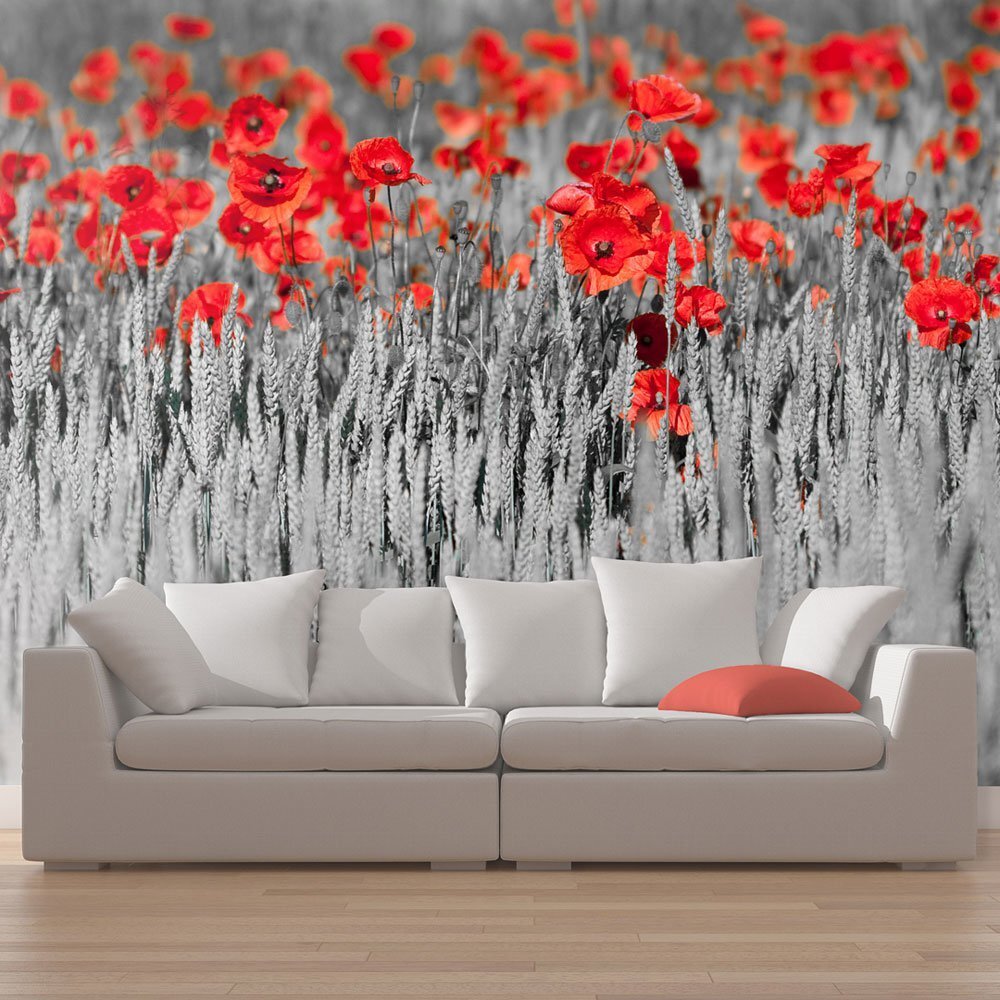 Fototapeet - Red poppies on black and white background hind ja info | Fototapeedid | kaup24.ee