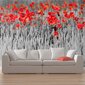 Fototapeet - Red poppies on black and white background цена и информация | Fototapeedid | kaup24.ee