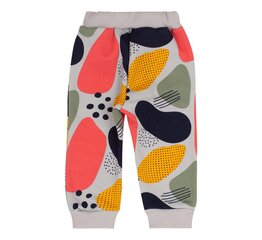 Спортивные штаны с начёсом для девочки цена и информация | Штаны для девочек | kaup24.ee