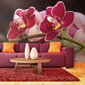 Fototapeet - Beautiful orchid flowers on the water hind ja info | Fototapeedid | kaup24.ee