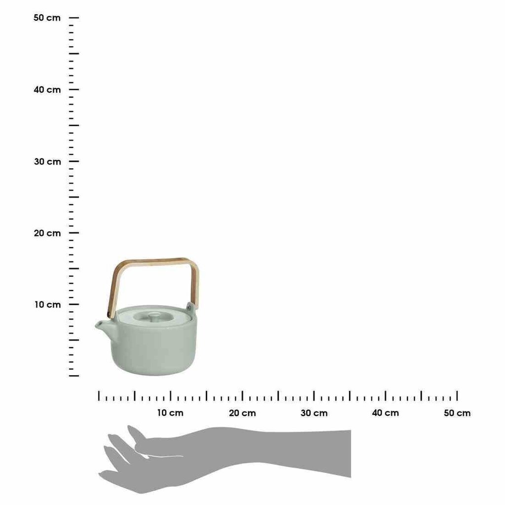 Teekann, 800 ml цена и информация | Klaasid, tassid ja kannud | kaup24.ee