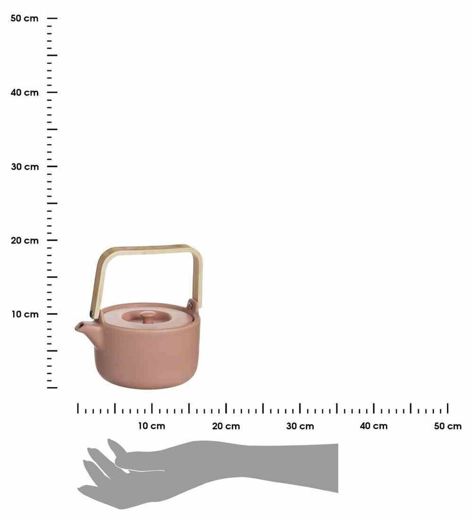 Teekann, 800 ml цена и информация | Klaasid, tassid ja kannud | kaup24.ee