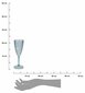 Šampanjaklaas, 225 ml цена и информация | Klaasid, tassid ja kannud | kaup24.ee