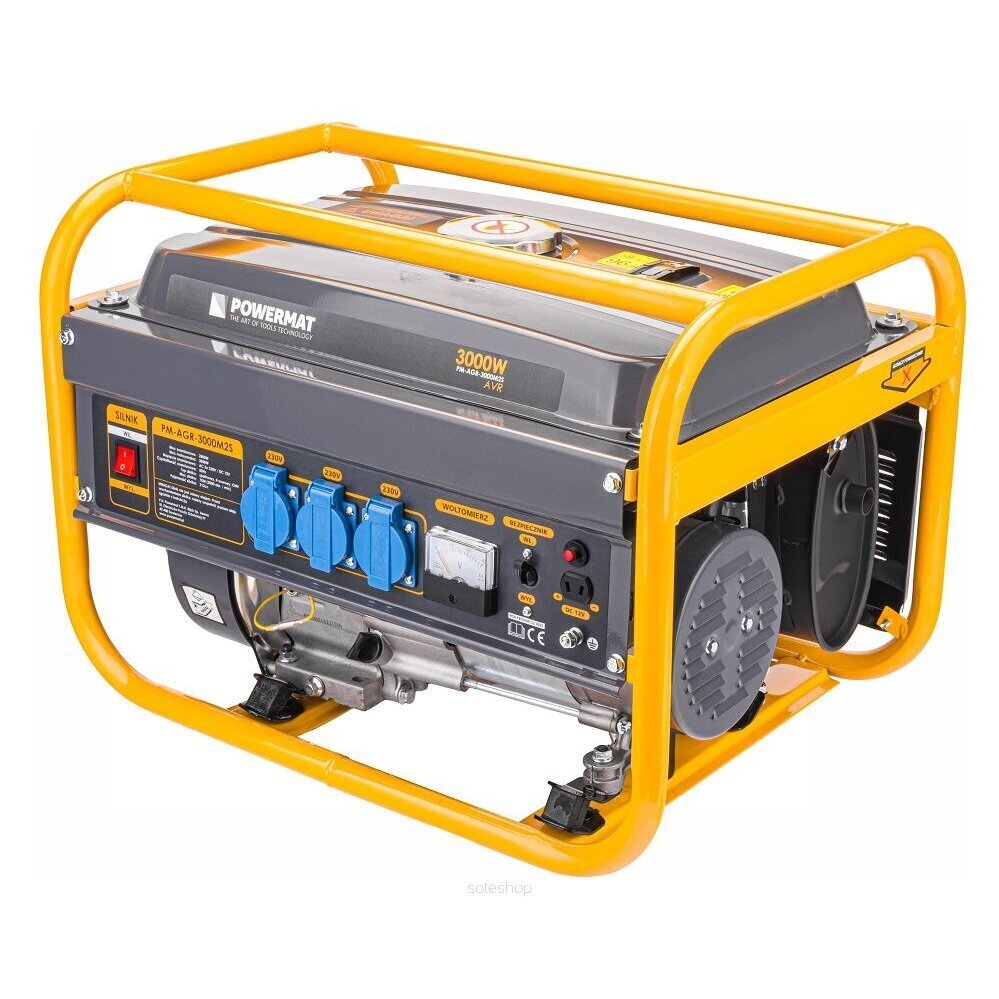 Elektrigeneraator, 3000 W hind ja info | Generaatorid | kaup24.ee