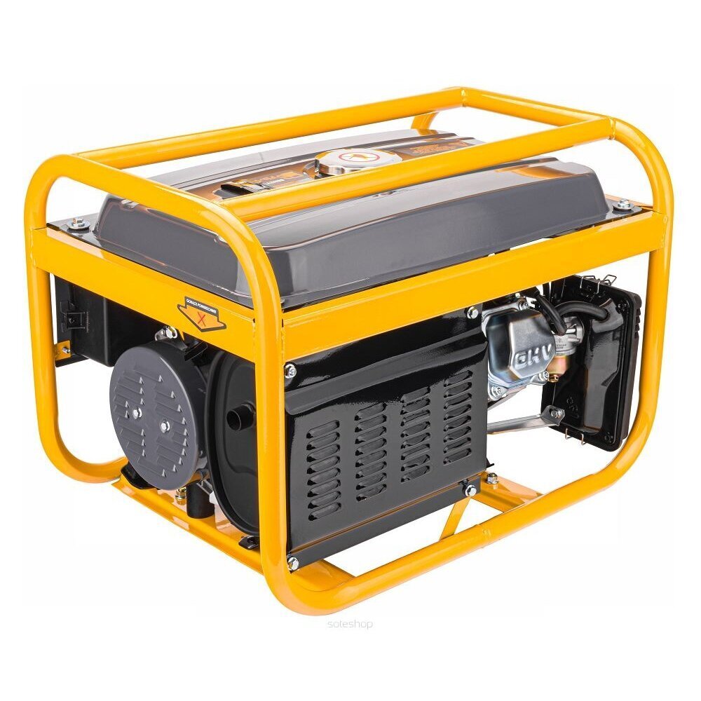 Elektrigeneraator, 3000 W hind ja info | Generaatorid | kaup24.ee