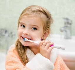 Eldom SD50R hind ja info | Elektrilised hambaharjad | kaup24.ee