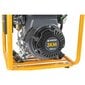 Inverter elektrigeneraator, 1500W hind ja info | Generaatorid | kaup24.ee