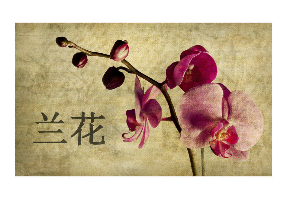 Fototapeet - Japanese orchid hind ja info | Fototapeedid | kaup24.ee