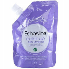 Echosline Color Up Grey Lavender Mask, 150ml цена и информация | Маски, масла, сыворотки | kaup24.ee