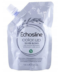 Echosline Color Up Silver Blonde Mask, 150ml цена и информация | Маски, масла, сыворотки | kaup24.ee