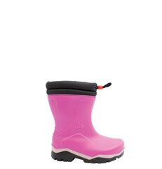 Soojad kummikud tüdrukutele Dunlop Blizzard K374061 цена и информация | Детская зимняя обувь | kaup24.ee