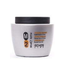 ECHOSLINE M2 niisutav hooldusmask 500 ml цена и информация | Маски, масла, сыворотки | kaup24.ee