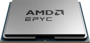 AMD Epyc 8224P Tray 100-000001134 hind ja info | Protsessorid (CPU) | kaup24.ee