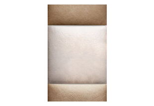 Fototapeet - Leather cushions hind ja info | Fototapeedid | kaup24.ee