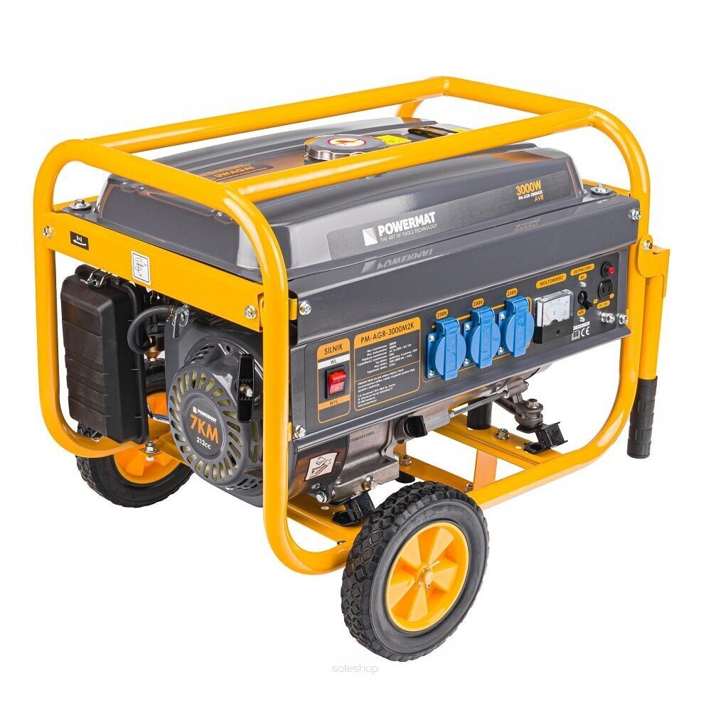 Elektrigeneraator, 3000 W hind ja info | Generaatorid | kaup24.ee