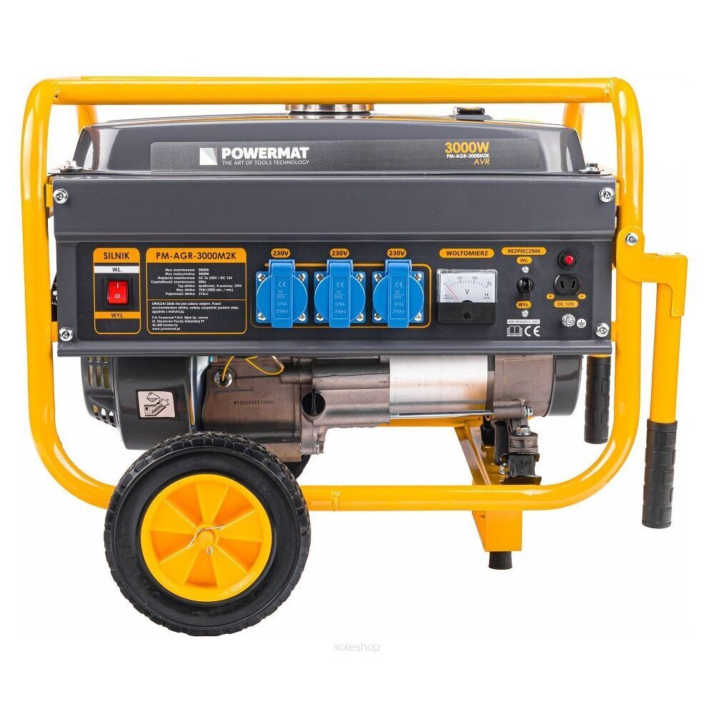 Elektrigeneraator, 3000 W hind ja info | Generaatorid | kaup24.ee