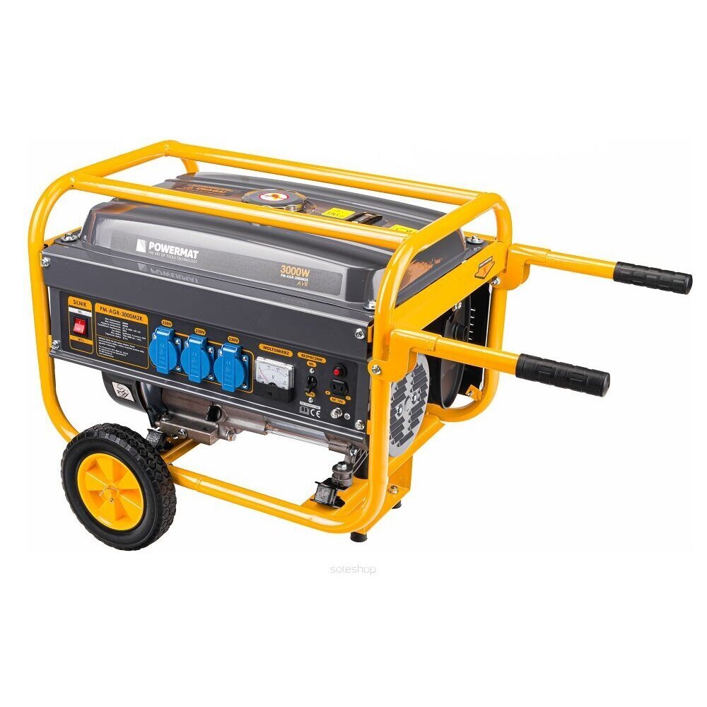 Elektrigeneraator, 3000 W hind ja info | Generaatorid | kaup24.ee