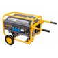 Elektrigeneraator, 3000 W hind ja info | Generaatorid | kaup24.ee