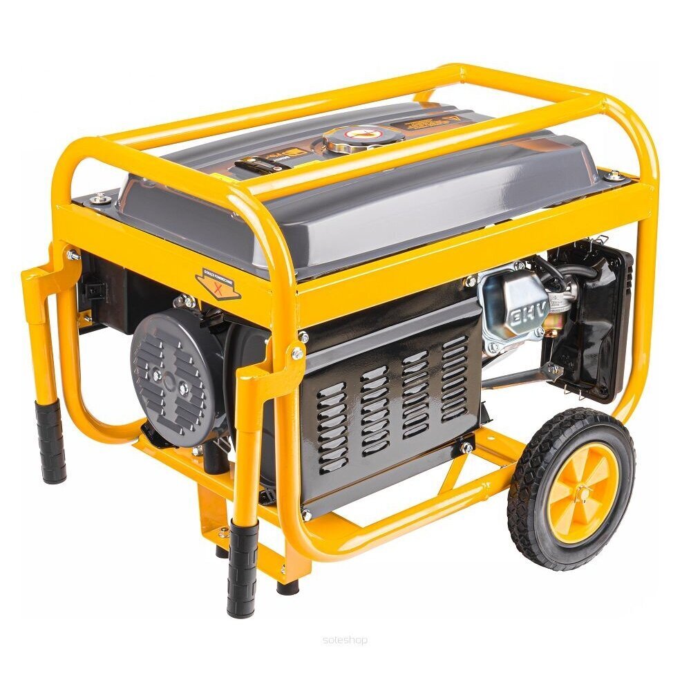 Elektrigeneraator, 3000 W hind ja info | Generaatorid | kaup24.ee